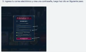 ingresa correo electronico